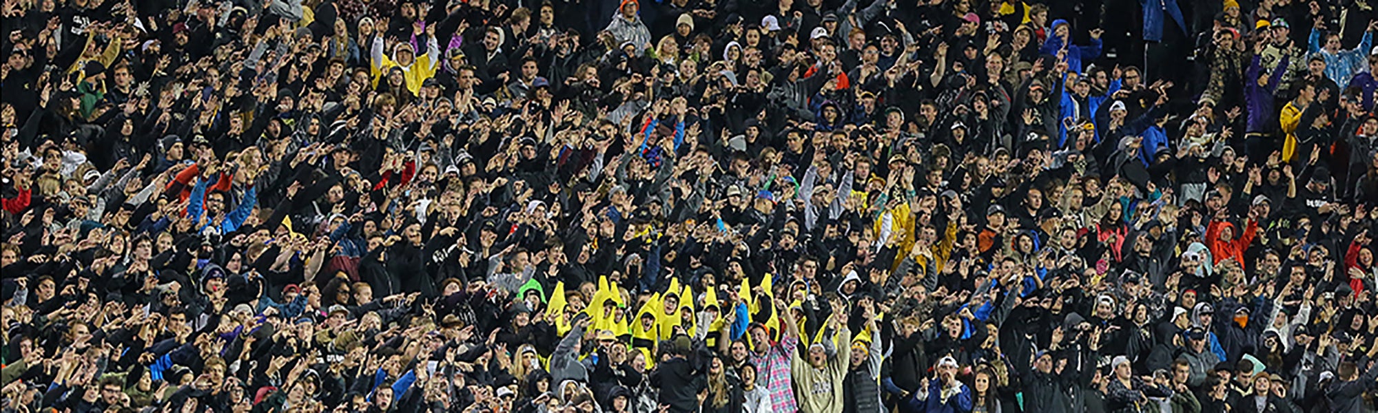 Students at a sports game