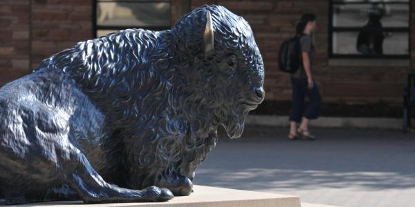 buffalo statue