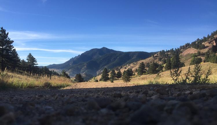 mount sanitas
