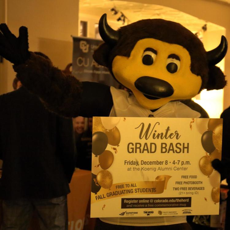 grad bash