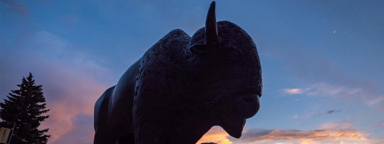 herd mental health month buffalo silhouette
