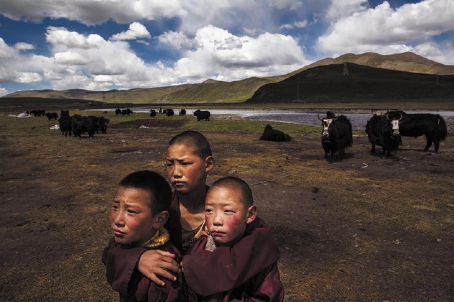 A group of young Tibetan monks huddles on a degraded pasture on the Tibetan Plateau. (Kevin Frayer/Getty)