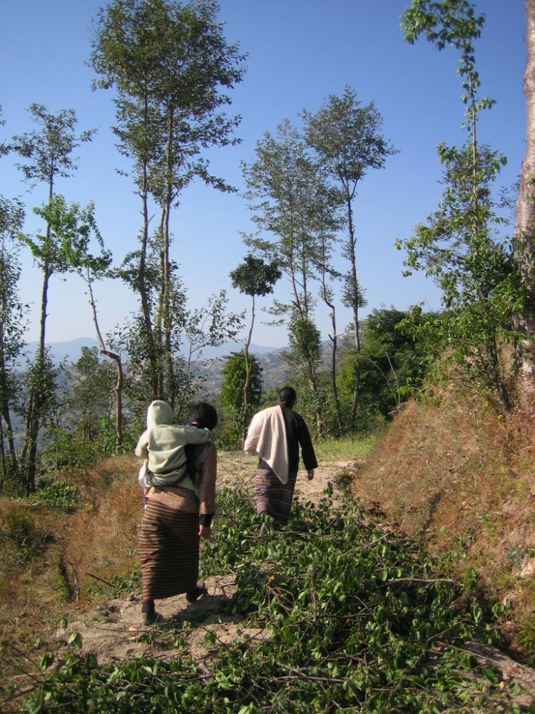 nepal