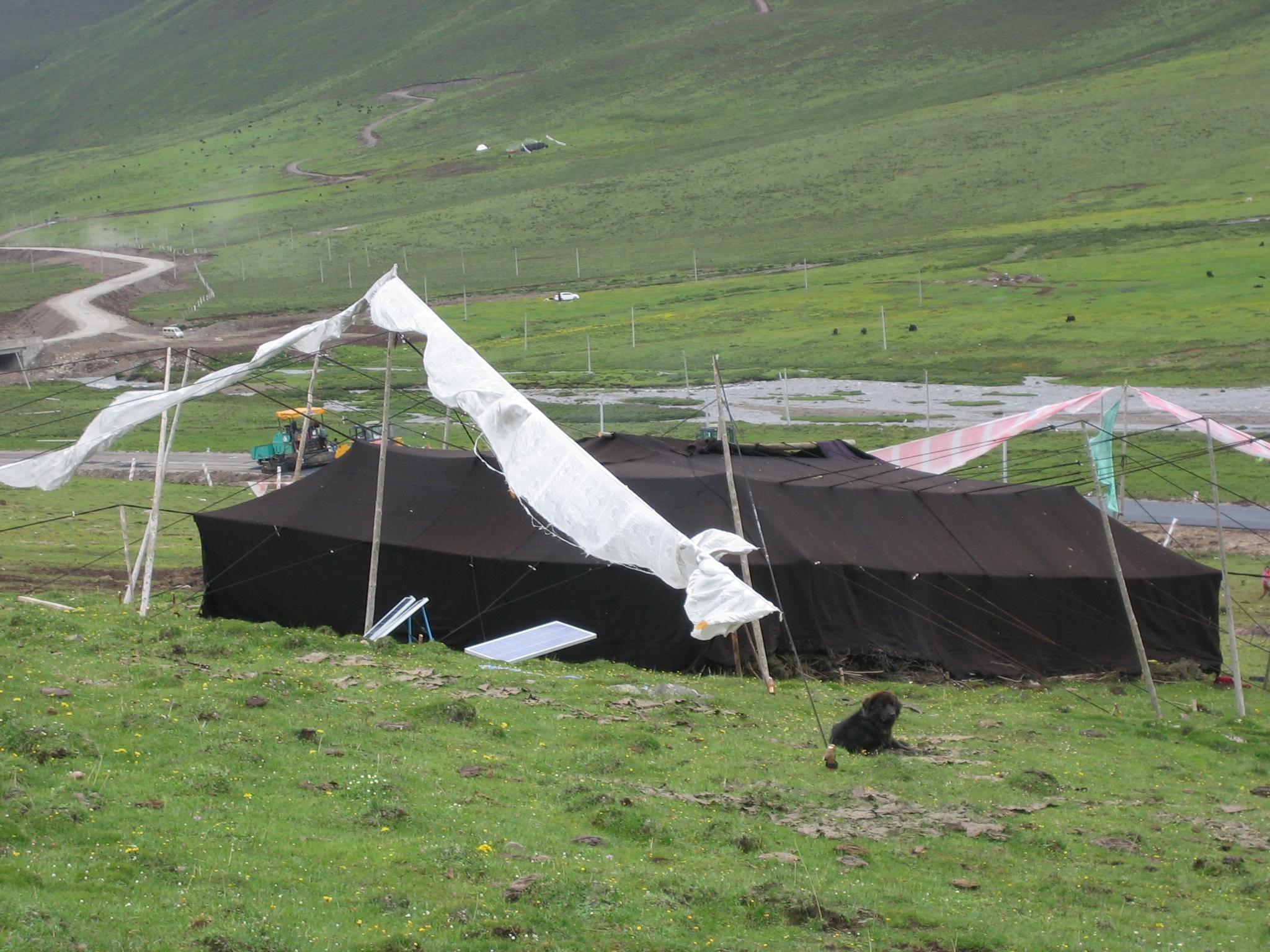 Black Tent on the Grasslands