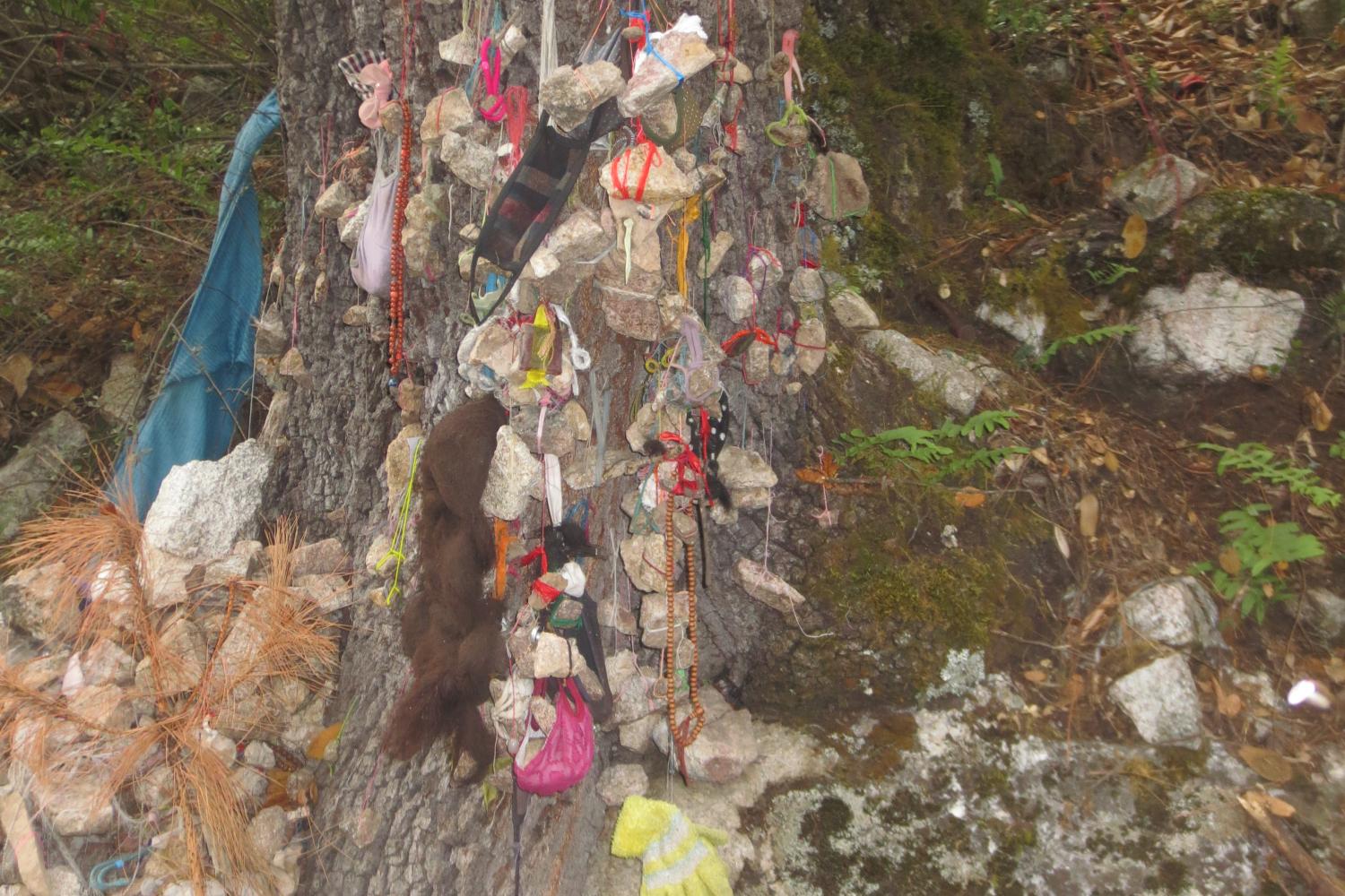 Along the route many pilgrims fasten stones to strings and hang them from trees. These are said to be loaded with the pilgrims’ sins, now left behind on the path.