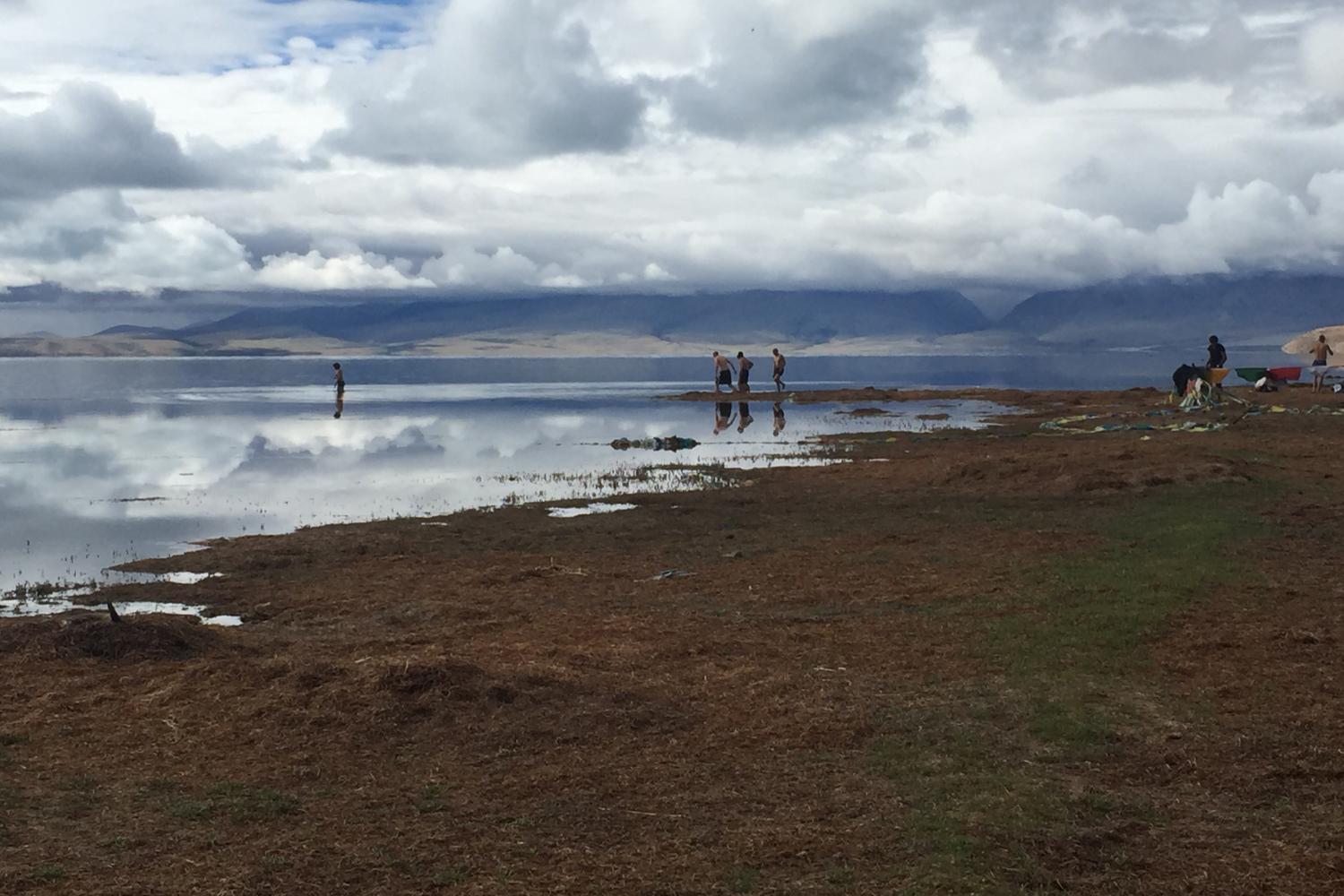 heading for a dip in Manasarovar