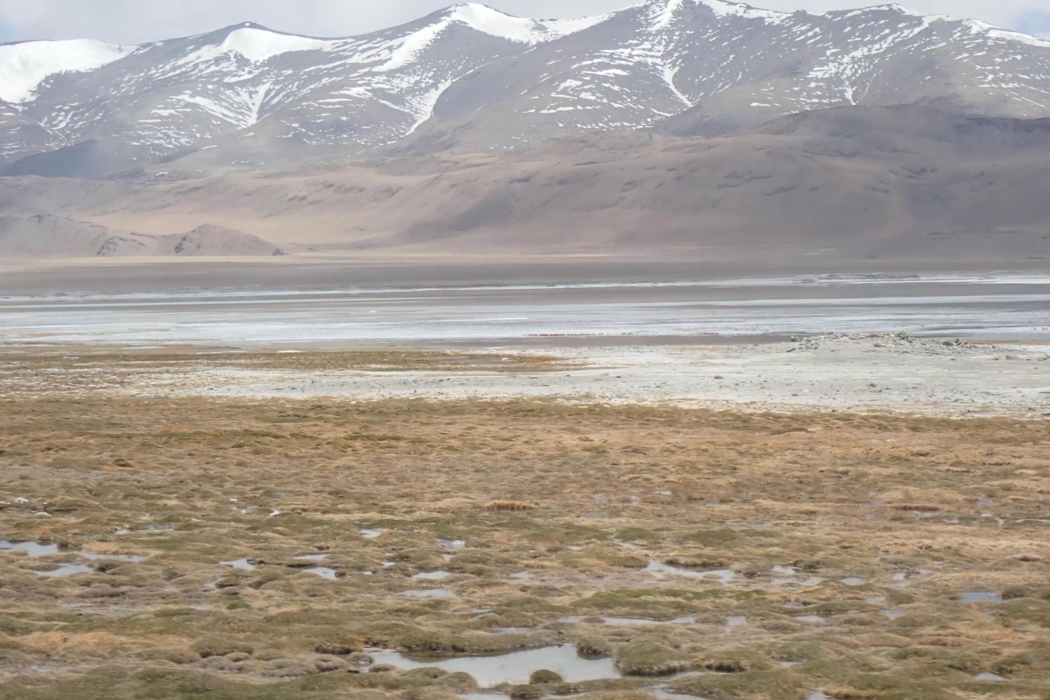 banks of a salt lake