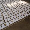 Gonkar Gyatso, Art Installation, Close Up