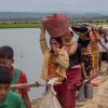 rohingya crisis