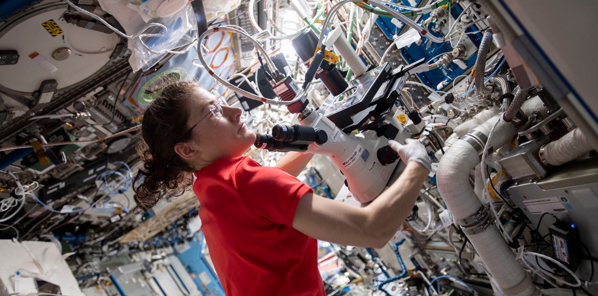 Research in space, helping people on Earth: BioServe marks 100th ...