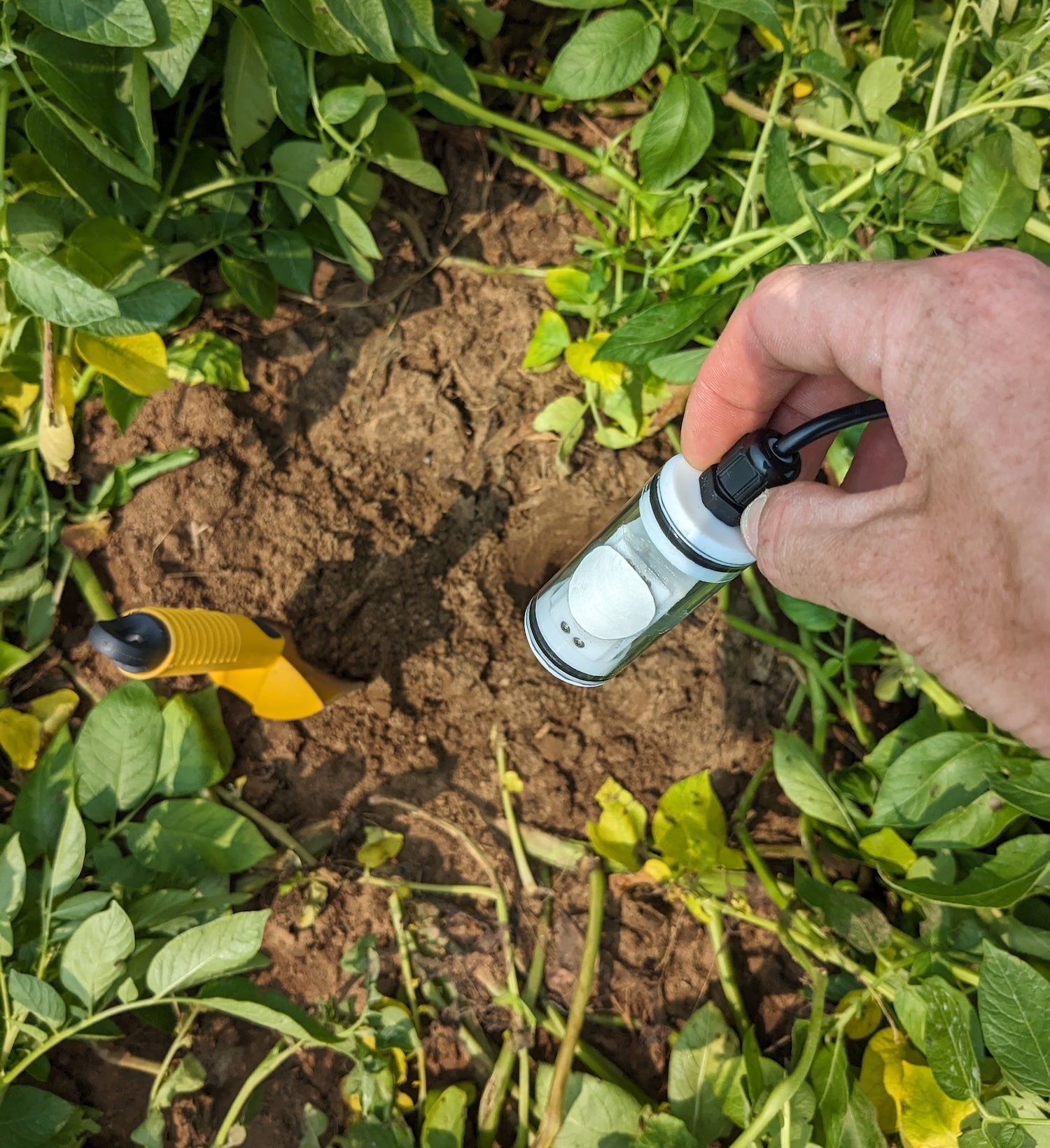 A window underground: New sensors measure emissions from soil in real time – University of Colorado Boulder