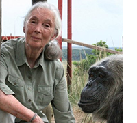 Jane Goodall