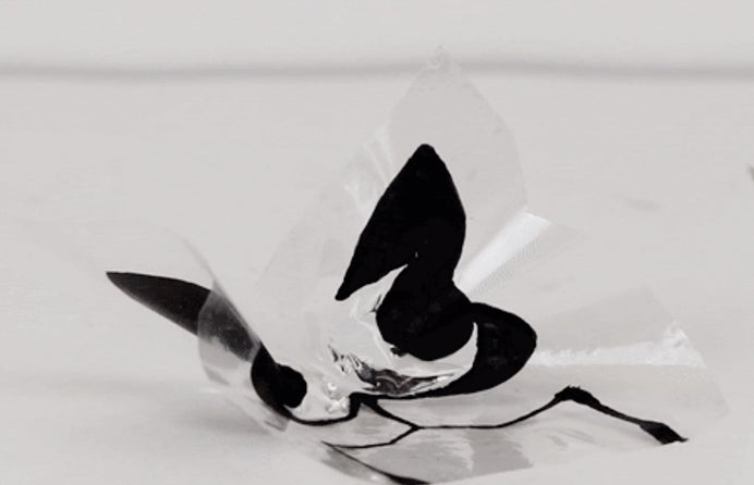 Origami comes to life with new shape-changing materials | CU Boulder ...