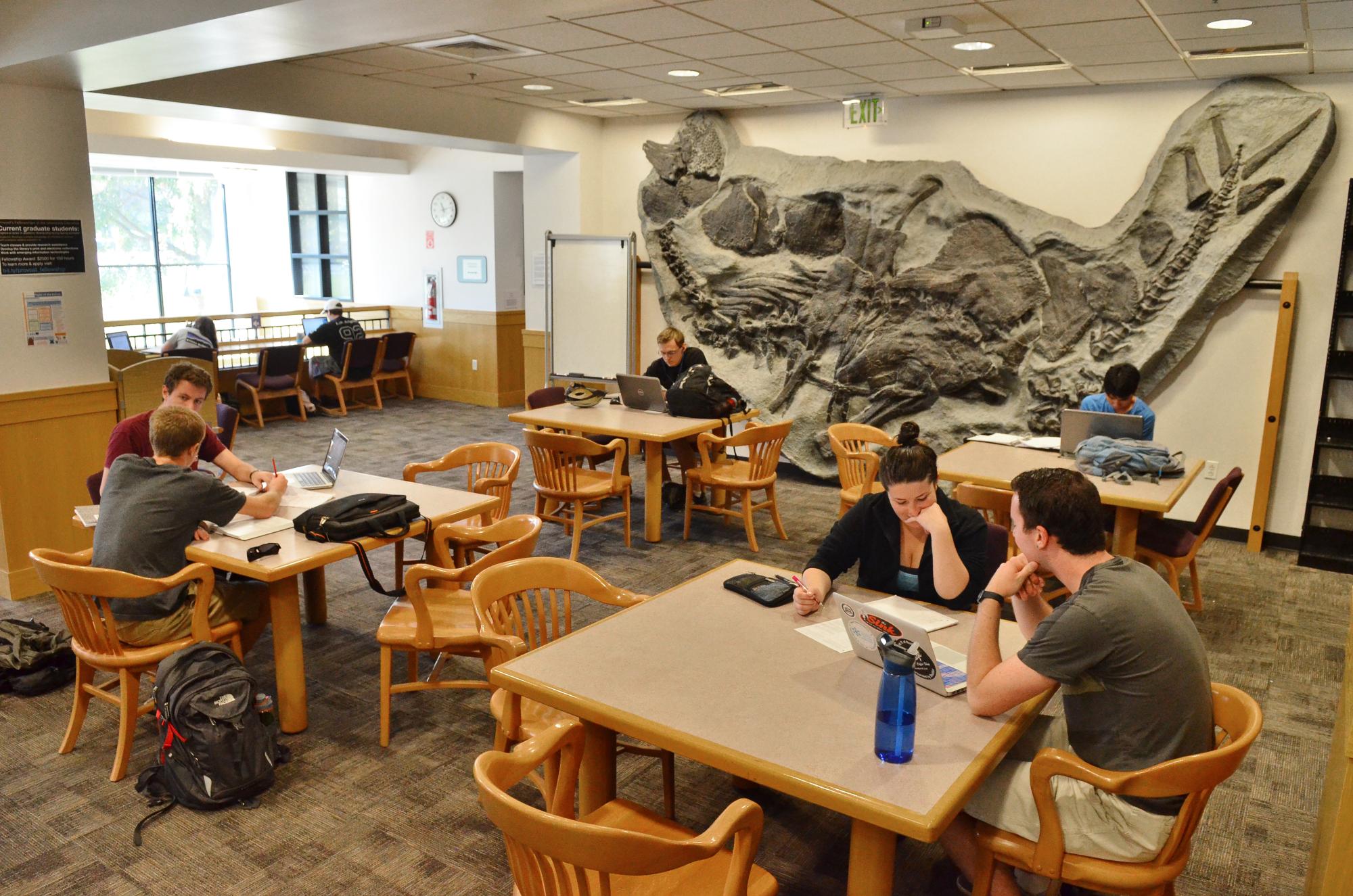Tools, tips and support for finals from the University Libraries | CU ...
