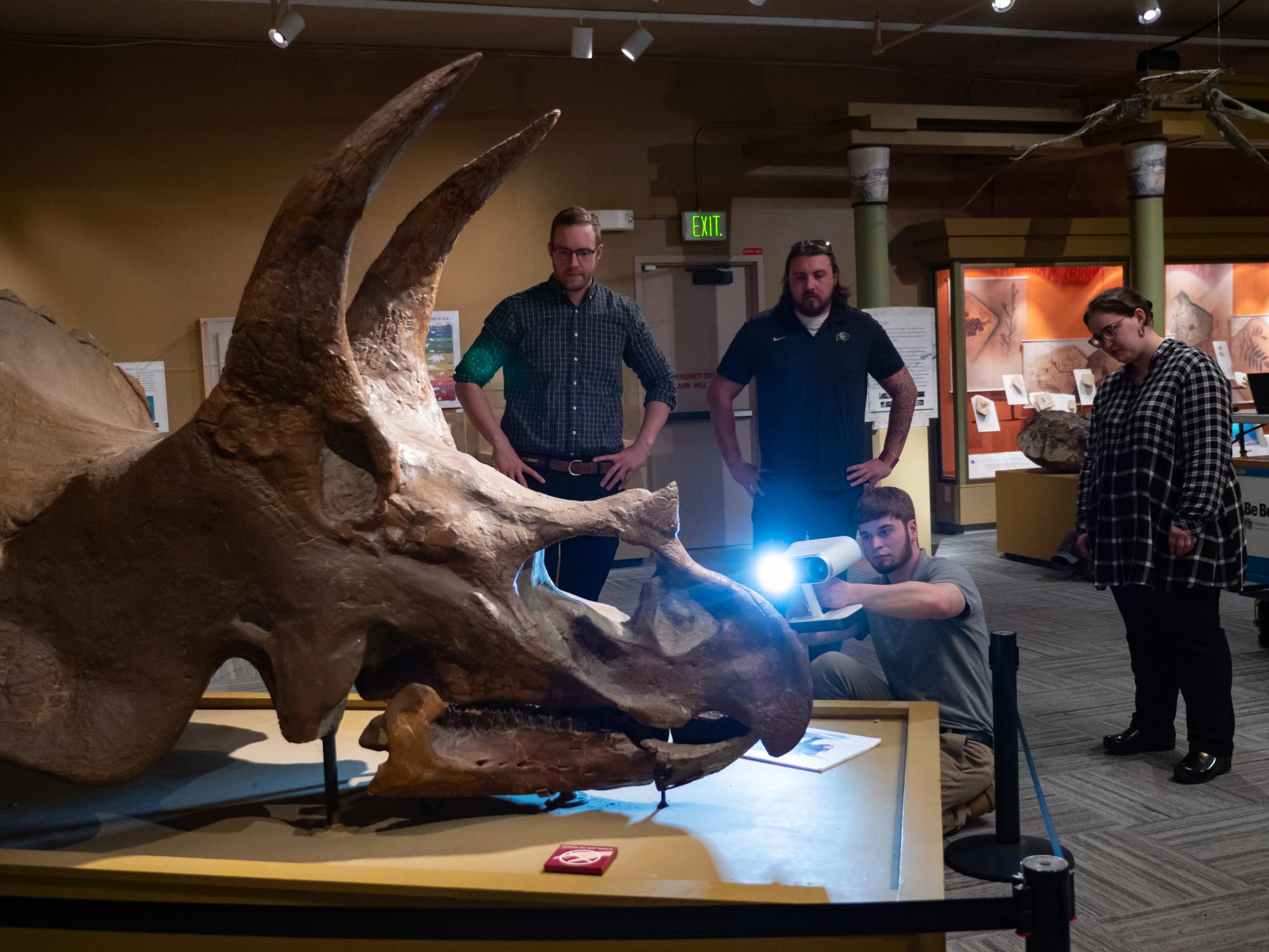 3D scan sheds new light on Boulder’s own Triceratops | CU Boulder Today ...
