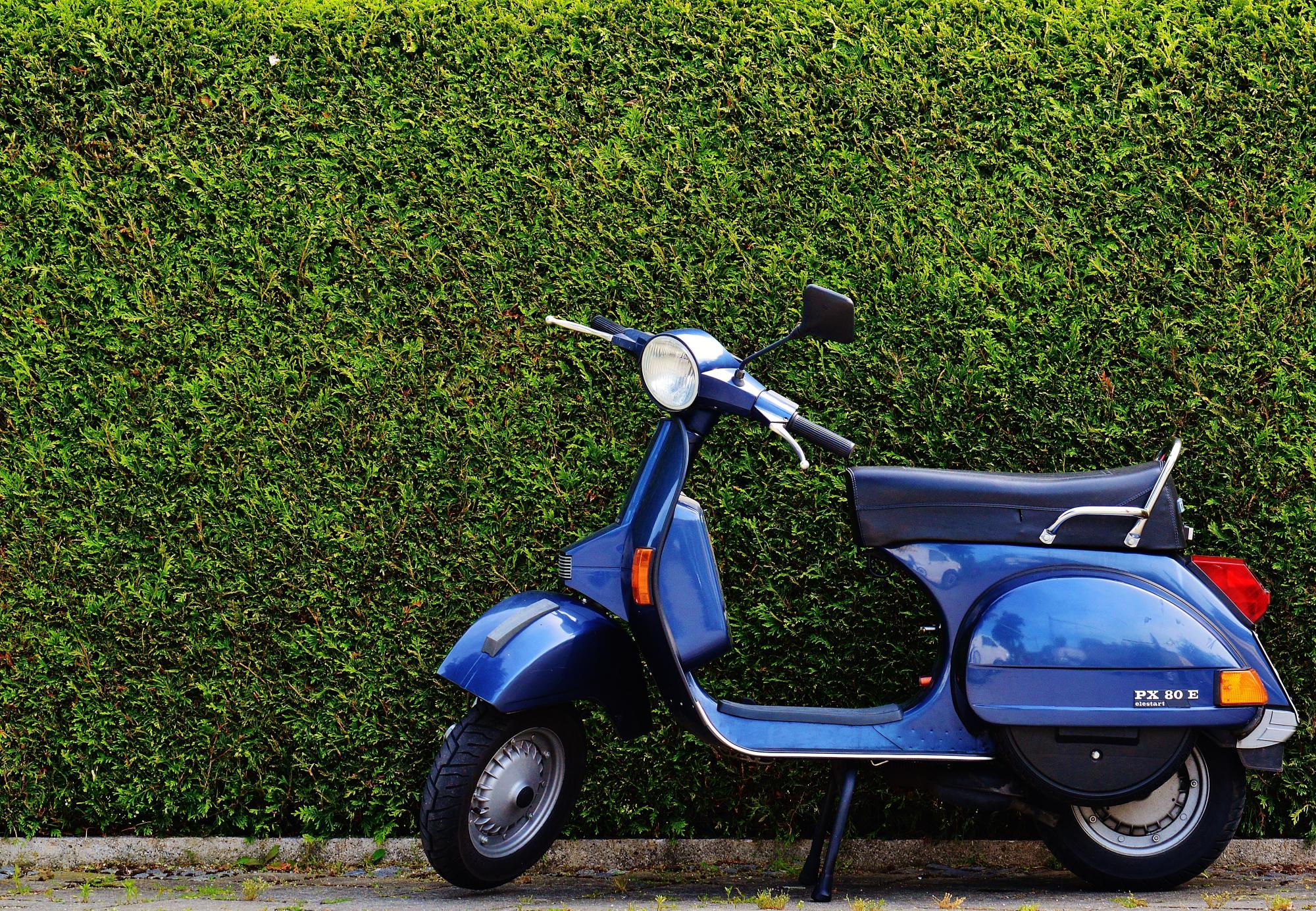 Looking to buy a used moped? Get tips | CU Boulder Today | University ...