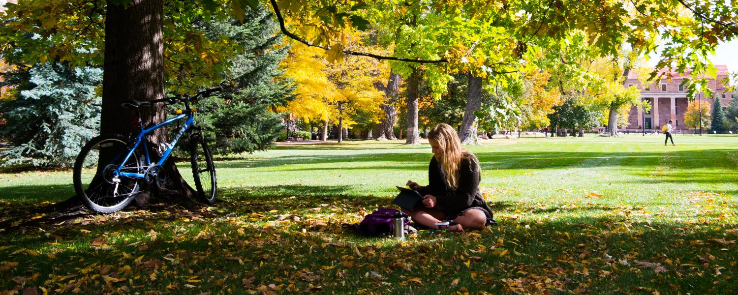 Student studies under a tree on campus