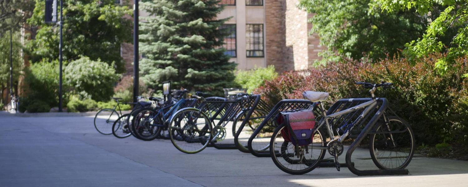 Bike racks on campus