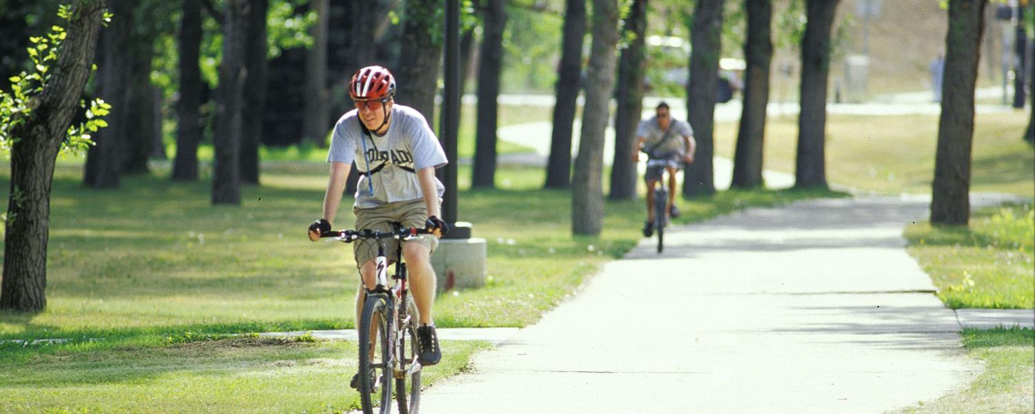 People riding bikes on a path