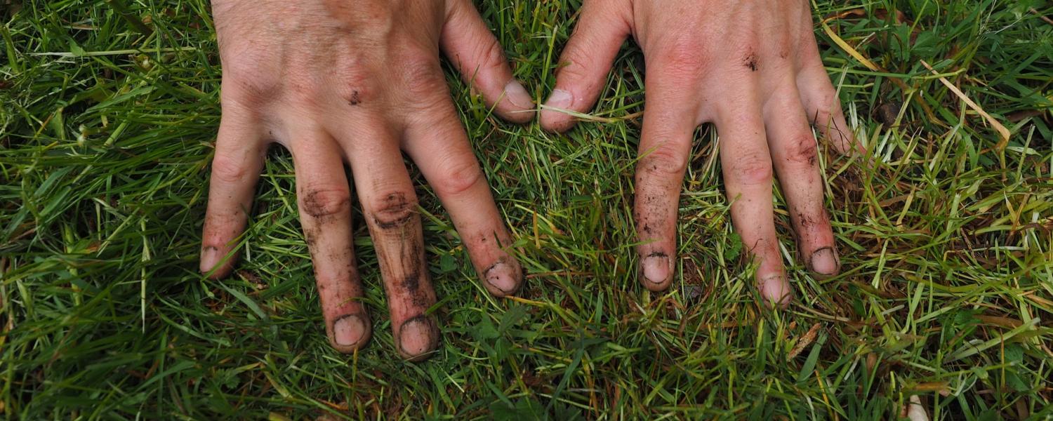 two hands pressing down on grass and dirt