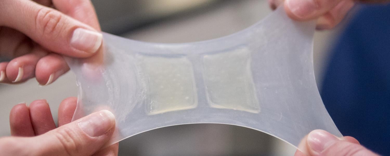 Researchers stretch a sample of artificial muscle made in Christoph Keplinger's lab at CU Boulder. (Credit: Glenn Asakawa)