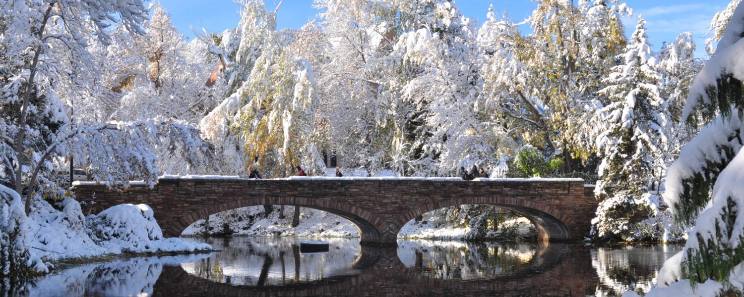 Varsity Bridge in winter