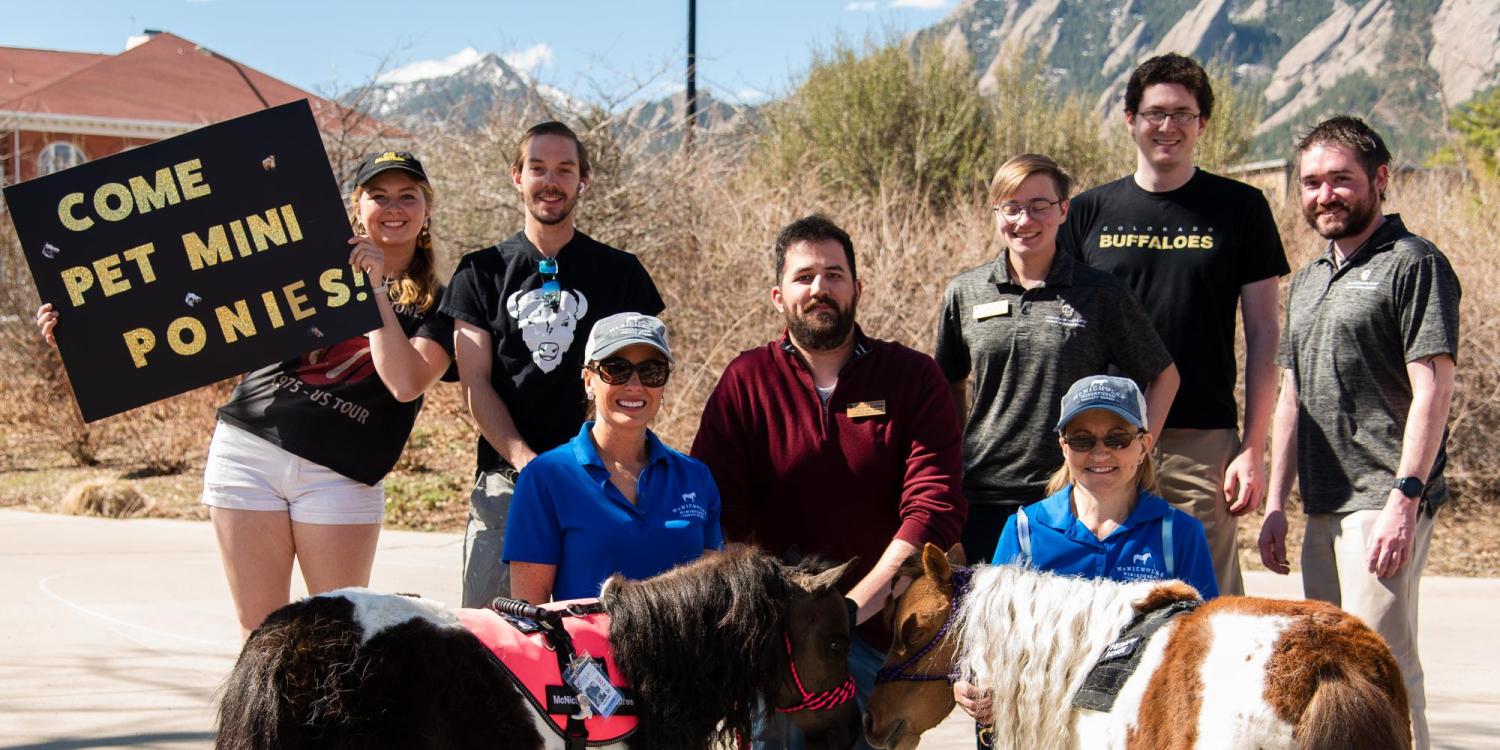 The CU Equestrian Team brought mini horses to campus. (Zach Ornitz/University of Colorado)