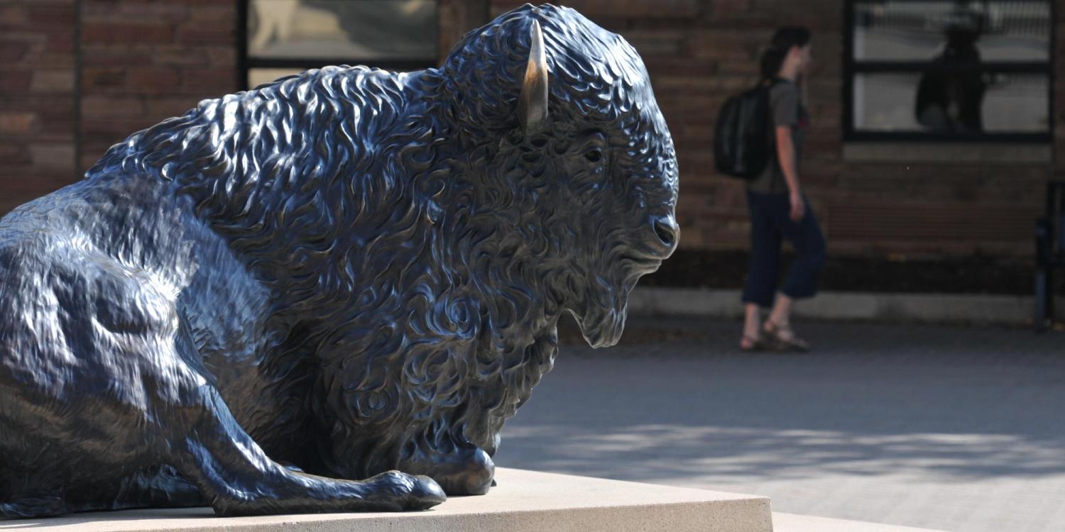 Buffalo sculpture