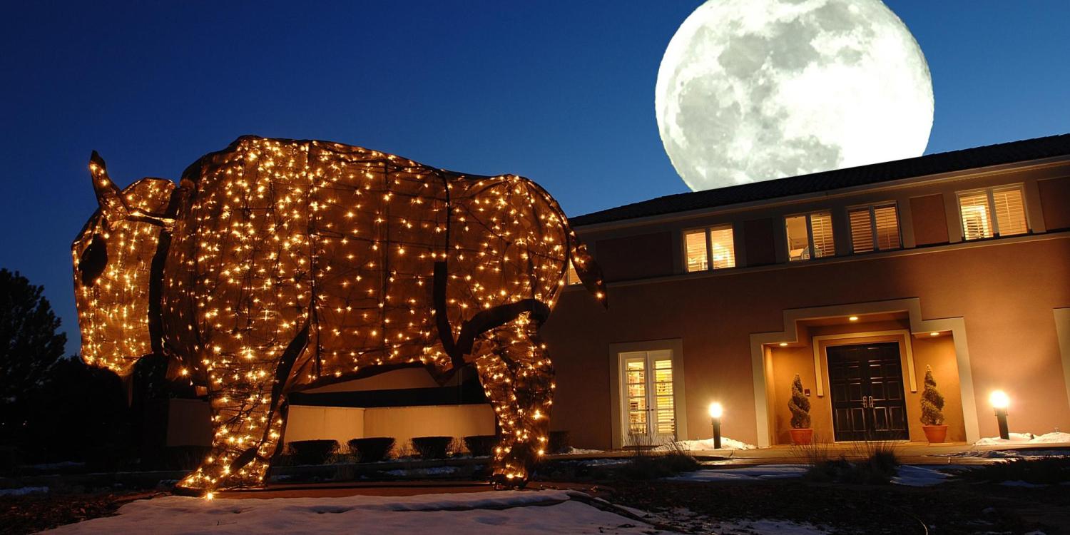 Light-up buffalo sculpture at the chancellor's residence 