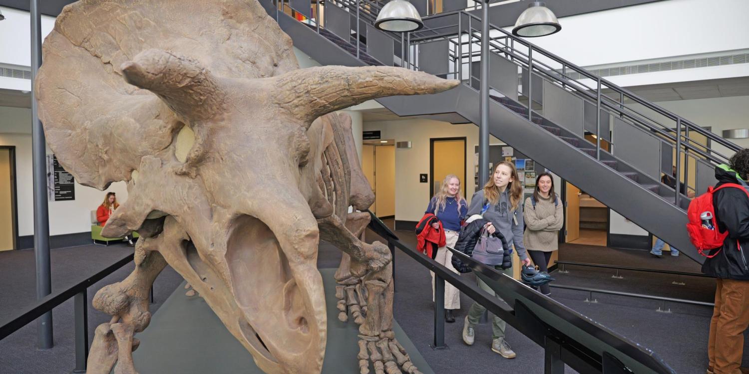 People react to the newly installed plaster cast of a life-size Triceratops in the lobby of the SEEC building