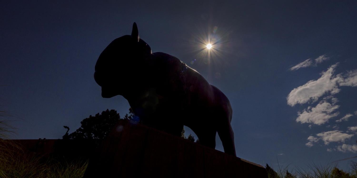 Buffalo statue with eclipsed sun behind