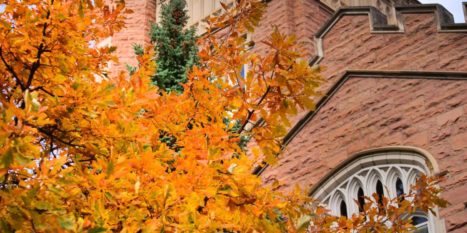 Autumn trees on display at CU Boulder