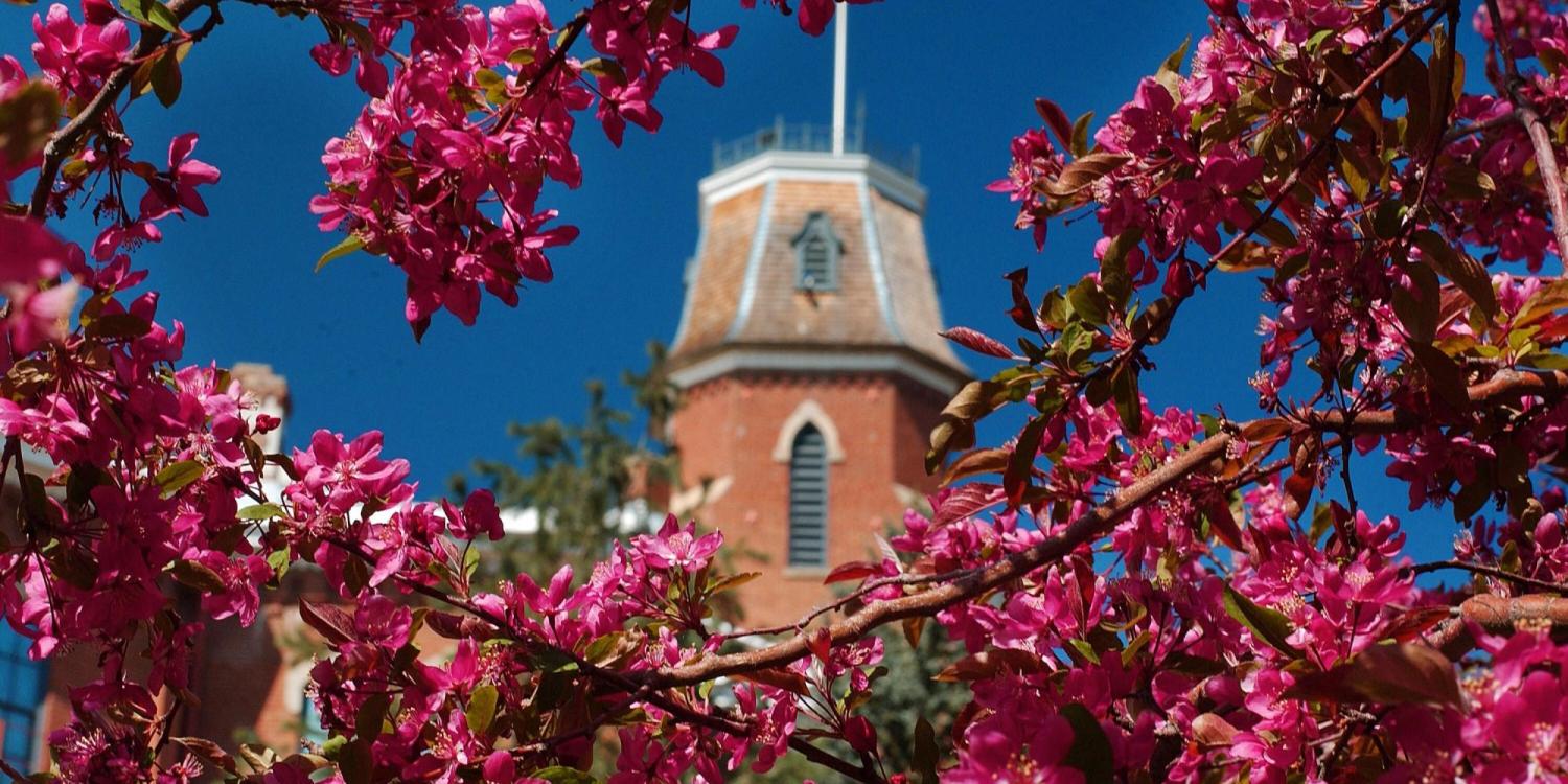 A spring image of Old Main