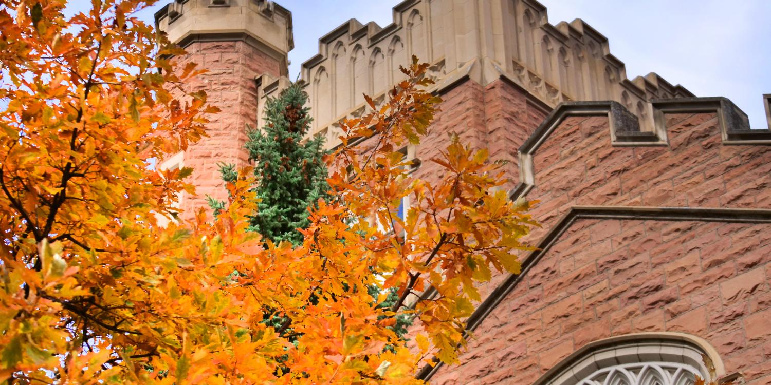 Autumn leaves on the CU Boulder campus.