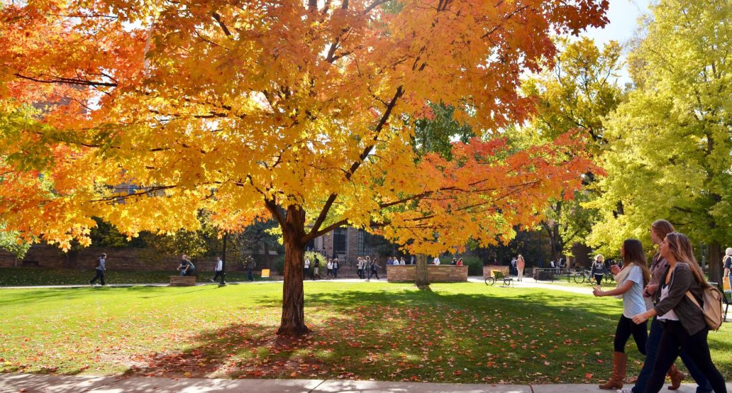 Fall on campus