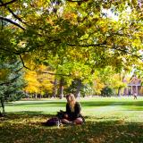 Student studies under a tree on campus