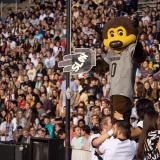 Chip helps the crowd cheer on the Colorado Buffaloes.
