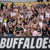 Fans cheer on the Buffs