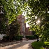 Sun filters through trees by Macky Auditorium on campus in June 2020