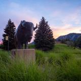 Ralphie statue with sunset and mountains in background