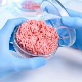Stock image of ground meat in a Petri dish