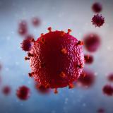 3D illustration of human immunodeficiency virus