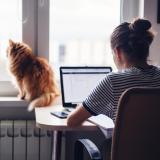 Woman working on laptop in home office with pet cat nearby