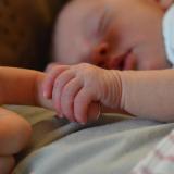 Baby holding adult's finger