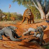 an illustration showing various Australian megafauna