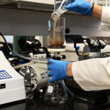 a researcher pours a liquid solution into a beaker