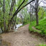 Image of Boulder Creek and dirt pathway