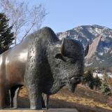 Buffalo statue in front of the Flatirons