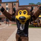 Chip the buffalo mascot raising his arms in celebration