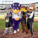 CU Denver, CU Boulder and UCCS mascots with Dingo, the purple dinosaur mascot of the Colorado Rockies